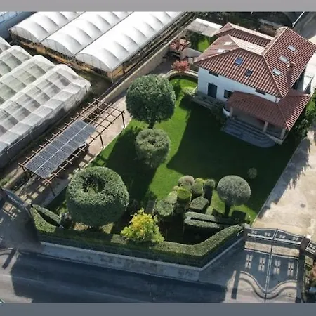 Appartament 
